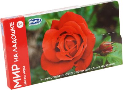 Мир на ладошке "Цветы мира" (выпуск 3)