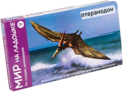 Мир на ладошке "По следам динозавров" (выпуск 5)