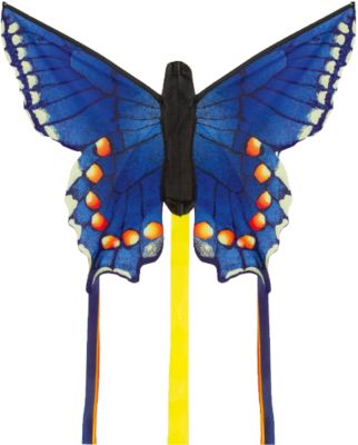 Butterfly Kite Swallowtail Blue ´´R´´ mehrfarbig