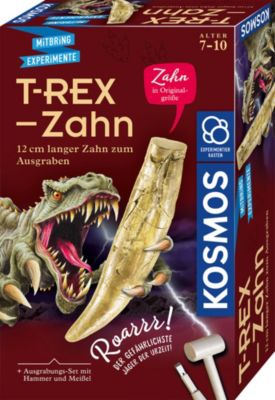 Ausgrabungsset T-Rex Zahn