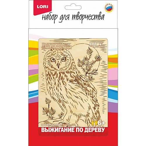 Выжигание в рамке "Полярная сова" от LORI