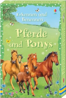 Buch - Erkennen und Benennen: Pferde und Ponys