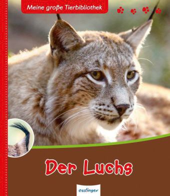Buch - Meine groe Tierbibliothek: Der Luchs