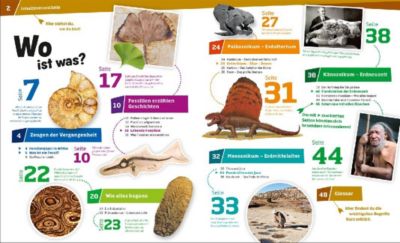 Was ist Was: Fossilien - Spuren des Lebens 2