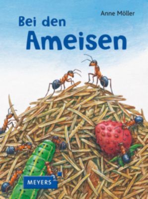 Buch - Bei den Ameisen