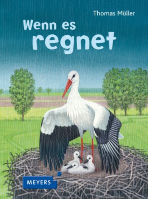 Buch - Wenn es regnet