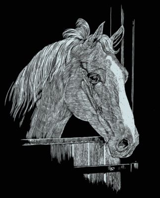 Pferd mit Fohlen Kratzbild Silber ohne Rahmen Pferde Kratzbilder Scraper Kinder 