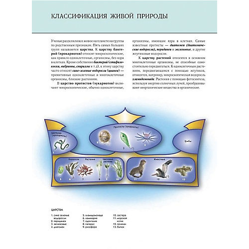 Подводный мир. Полная энциклопеди от Эксмо