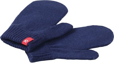 Варежки для мальчика Reima
