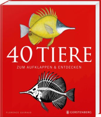 Buch - 40 Tiere