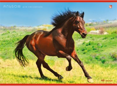Альбом для рисования "Благородный конь", 20л