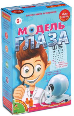 Японские опыты "Модель глаза"