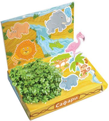 Набор для выращивания "Сафари", Happy Plant