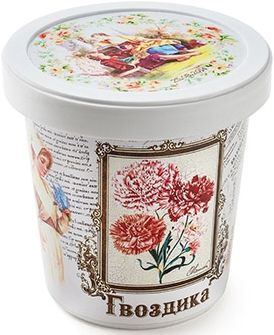 Набор для выращивания "Гвоздика" Rostok Visa