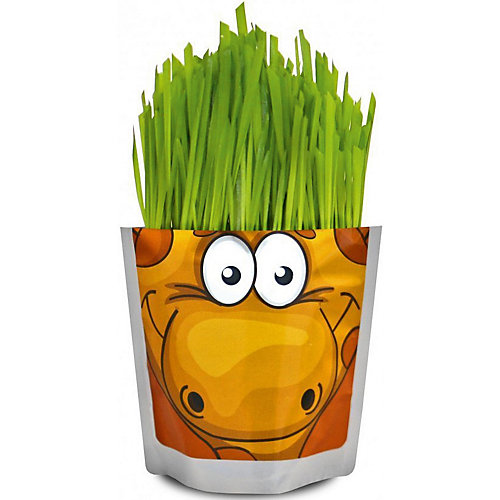 Набор для выращивания "Сафари" - Жираф Happy Plant от Бумбарам