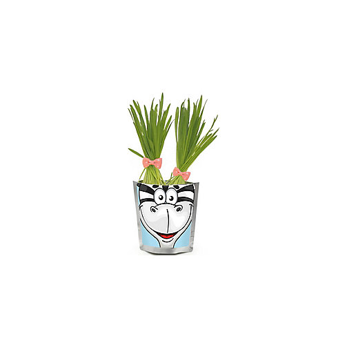 Набор для выращивания "Сафари" - Зебра Happy Plant от Бумбарам