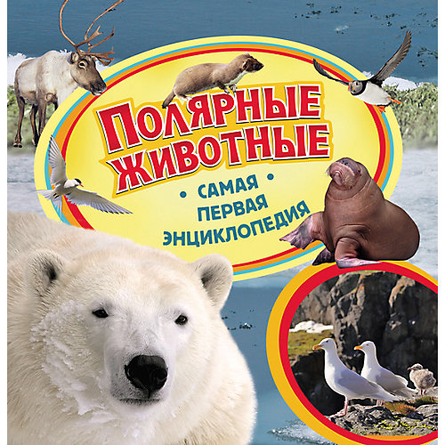 Полярные животные, Самая первая энциклопедия от Росмэн
