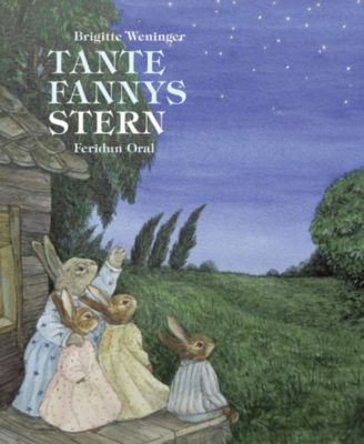 Buch - Tante Fannys Stern