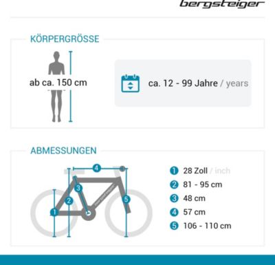 Jugendfahrrad Amsterdam 28 Zoll, grün, Bergsteiger Fahrrad