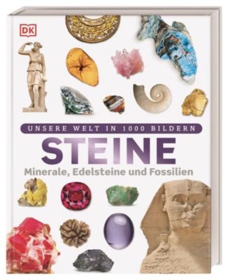 Buch - Steine: Minerale, Edelsteine und Fossilien in ber 1000 Bildern