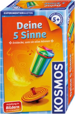 Mitbringexperiment Deine 5 Sinne