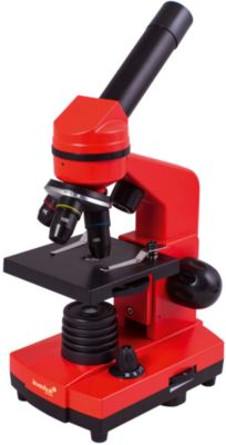 Микроскоп Levenhuk Rainbow 2L, 40х-400х