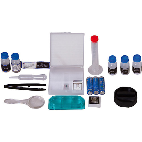 Микроскоп Bresser Junior 40x-640x, фиолетовый от Bresser