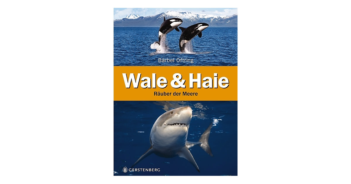 Buch - Wale & Haie: Räuber der Meere