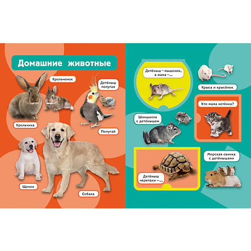Книжка с окошками "Мамы и малыши" от Росмэн
