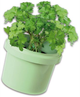 Explore Kräutergarten, SES Creative | myToys