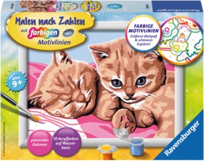 Simba Art & Fun Nach Zahlen Malen NEU 1 Pinsel 6 Farben Motiv Katze 