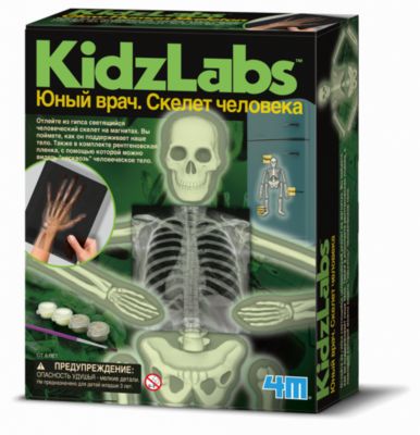 Набор "Юный врач. Скелет человека"