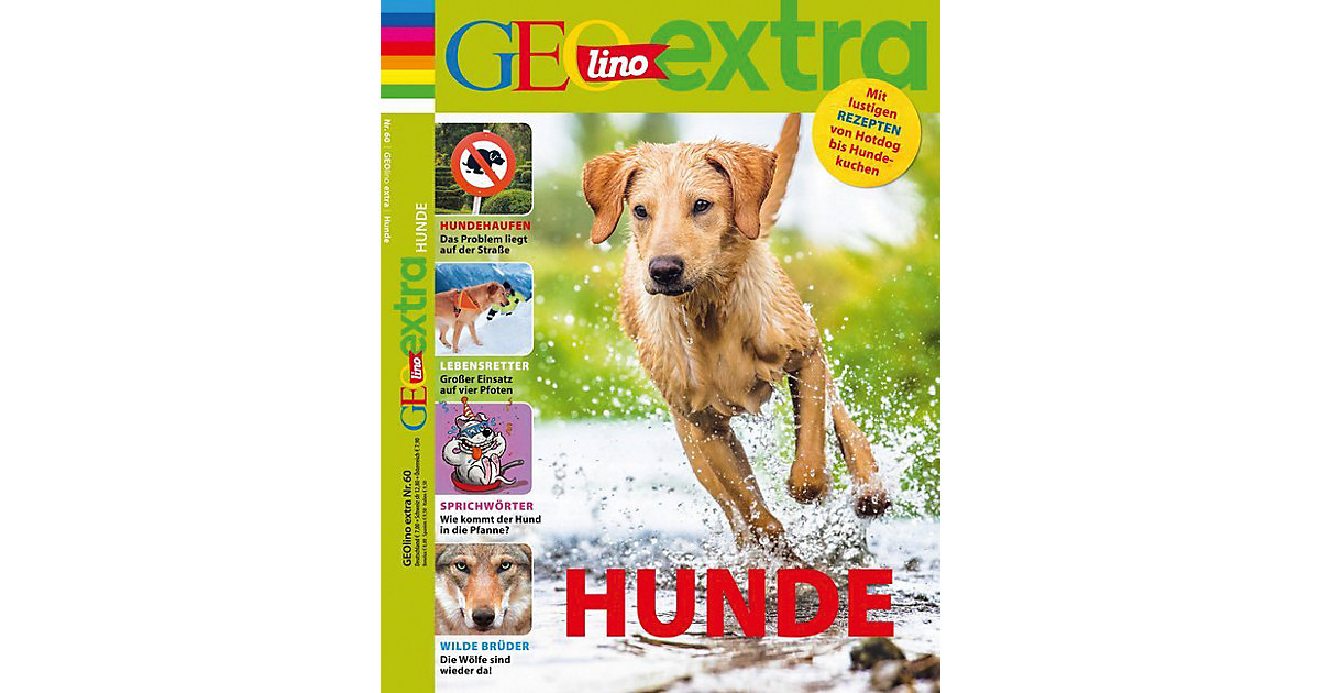 Buch - GEOlino extra: Hunde