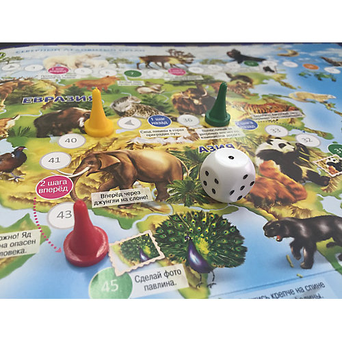Игра-ходилка с фишками "Животный мир Земли"
