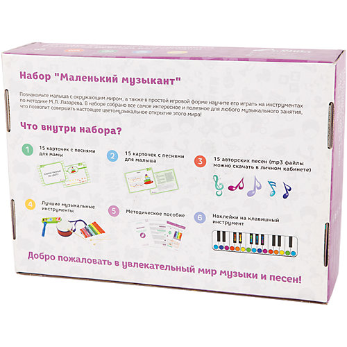 Развивающий набор "Маленький музыкант" от Умница