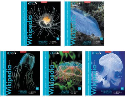 Тетрадь 48 л 