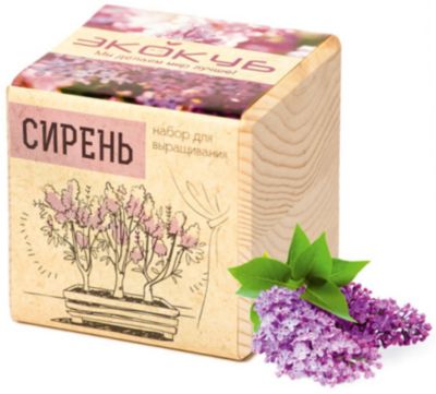 Набор для выращивания "Сирень", Экокуб