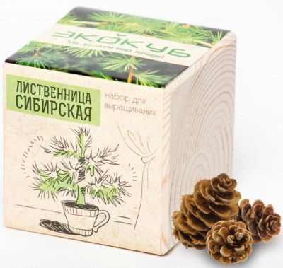 Набор для выращивания "Лиственница", Экокуб