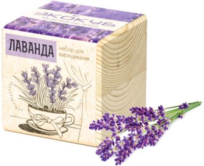 Набор для выращивания "Лаванда", Экокуб