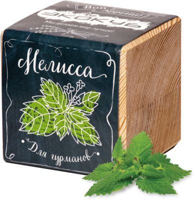 Набор для выращивания "Мелисса", Экокуб