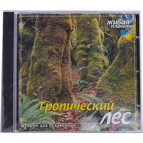 CD "Тропический лес" от Би Смарт