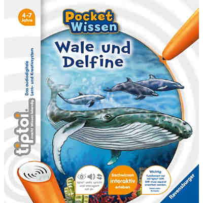 tiptoi® Pocket Wissen: Wale und Delfine