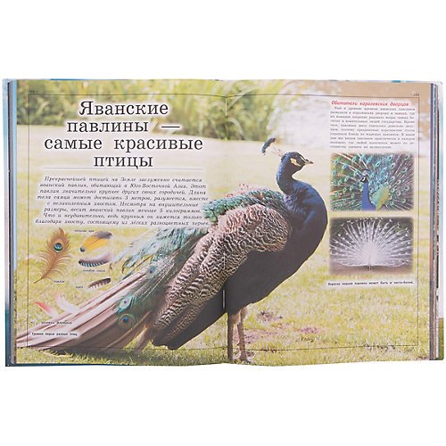 Большая детская энциклопедия обо всем на свете от Издательство АСТ