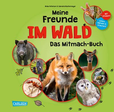 Buch - Meine Freunde: Im Wald