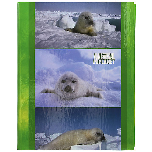 ACTION! Тетрадь на кольцах ANIMAL PLANET от ACTION!