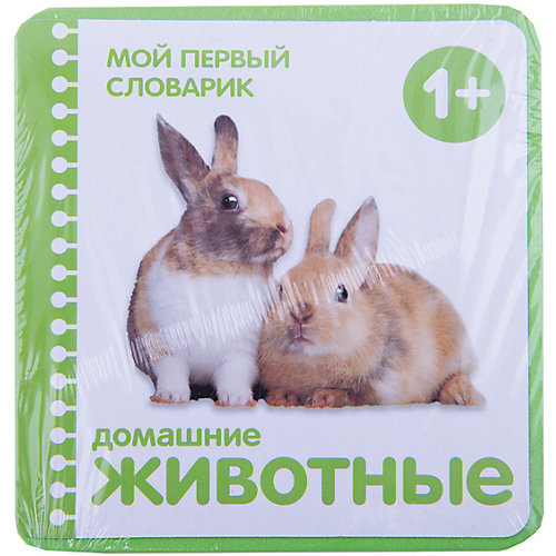 Мой первый словарик "Домашние животные" от Мозаика-Синтез