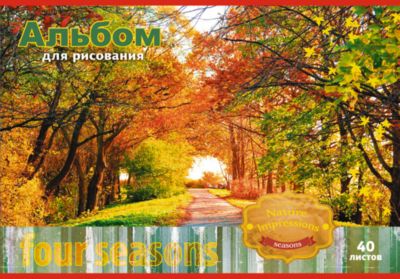 Альбом  для рисования 40 листов, обложка тиснение золотой фольгой, на скобе. Обложка Осень