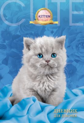 Дневник для девочек в твердом переплете формата А5, декорированном глиттером "Серый котёнок". 80 листов
