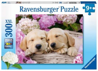 puzzle 300 teile xxl 49x36 cm susse hunde im korbchen ravensburger mytoys