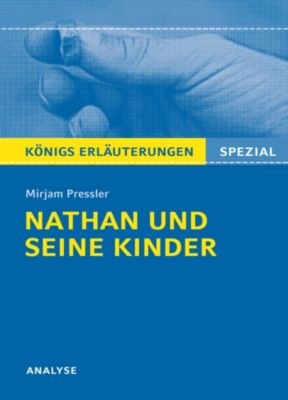 Buch - Mirjam Pressler: Nathan und seine Kinder